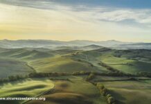 Agritech e sostenibilità, accordo tra Politecnico di Torino e Cnh